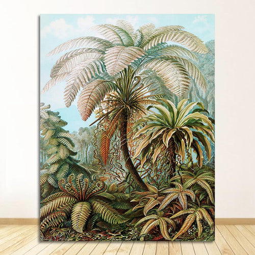 Ernst Haeckel | PALMS