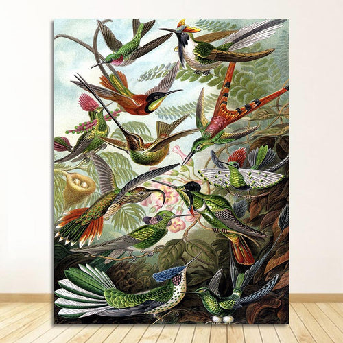 Ernst Haeckel | BIRDS