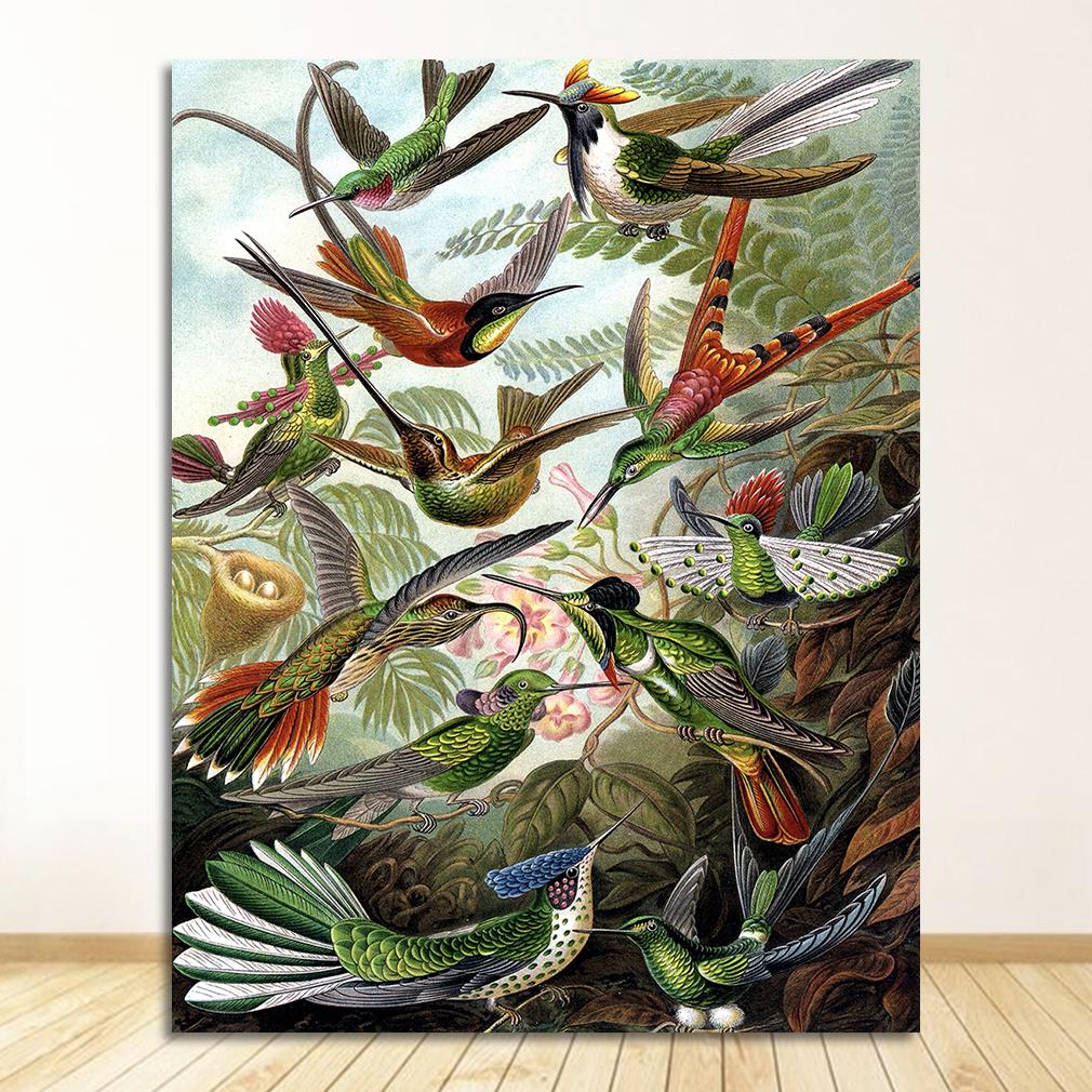 Ernst Haeckel | BIRDS