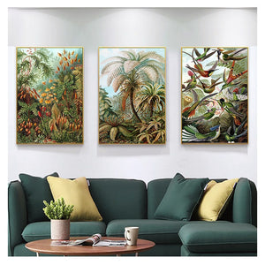 Ernst Haeckel | PLANTS