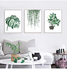 Tropical Plants| Leaves #04