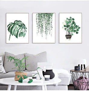 Tropical Plants| Leaves #04