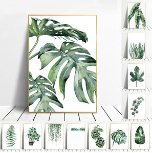 Tropical Plants| Leaves #07