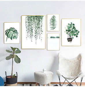 Tropical Plants| Leaves #04