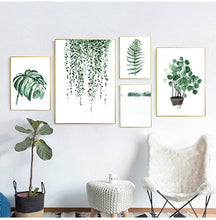 Tropical Plants| Leaves #03