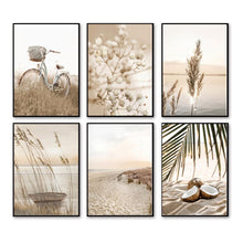 Nature in Calm | PROMENADE