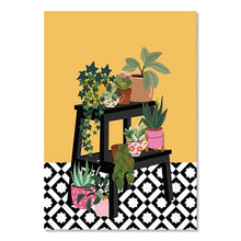 Botanical House | Full Collection