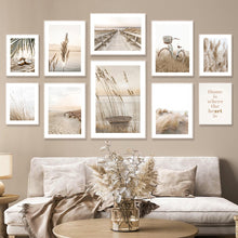 Nature in Calm | PROMENADE