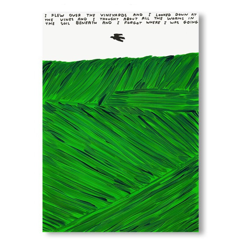 David Shrigley | VINEYARD