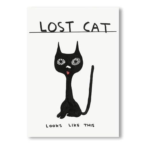 David Shrigley | LOST CAT