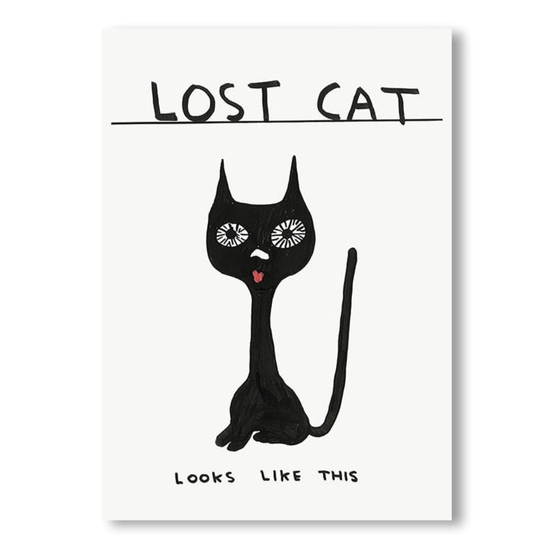 David Shrigley | LOST CAT