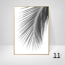 Black And White Palm