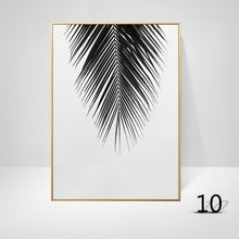 Black And White Palm