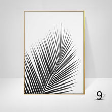 Black And White Palm