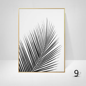 Black And White Palm