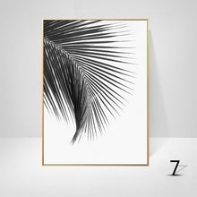 Black And White Palm