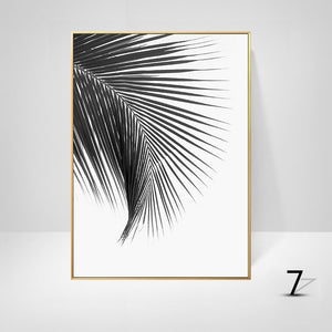 Black And White Palm