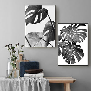 Black And White Palm