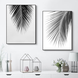 Black And White Palm