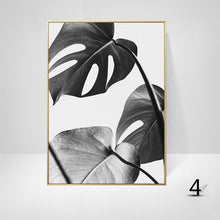 Black And White Palm