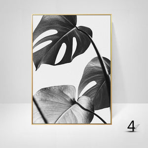 Black And White Palm