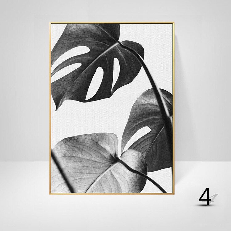 Black And White Palm