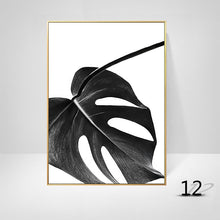 Black And White Palm