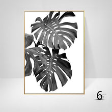 Black And White Palm