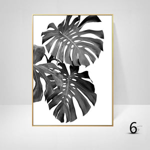 Black And White Palm