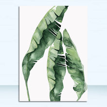 Tropical Plants| Leaves #12