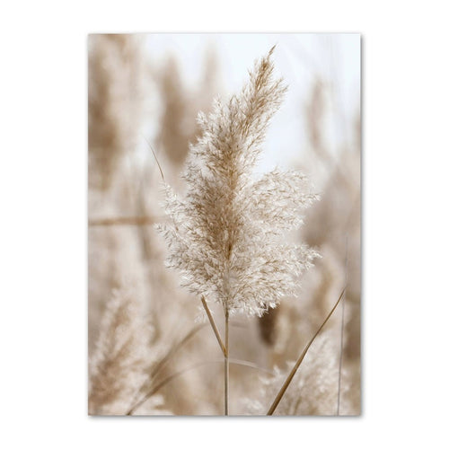 Nature in Calm | LIKE A FEATHER