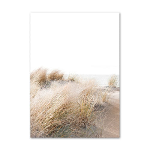 Nature in Calm | DUNE