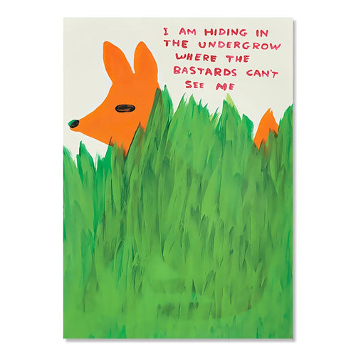 David Shrigley | HIDING