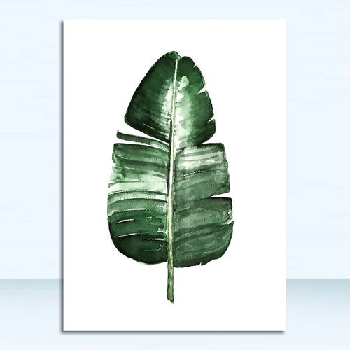 Tropical Plants| Leaves #08