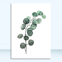 Tropical Plants| Leaves #09