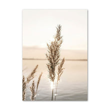 Nature in Calm | LITTLE RAY OF LIGHT