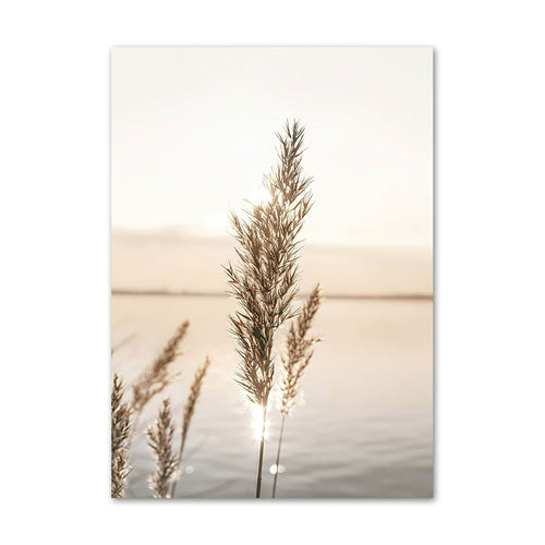 Nature in Calm | LITTLE RAY OF LIGHT