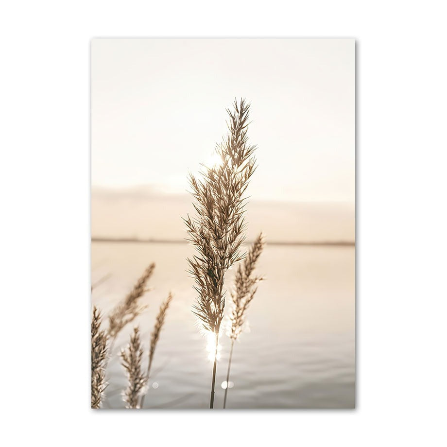 Nature in Calm | LITTLE RAY OF LIGHT