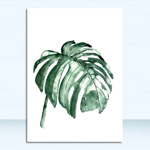 Tropical Plants| Leaves #07