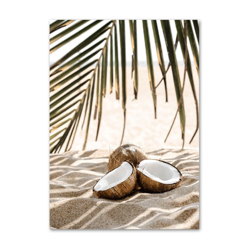 Nature in Calm | COCONUT