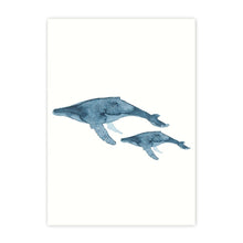 Blue Ocean Adventures | WHALES