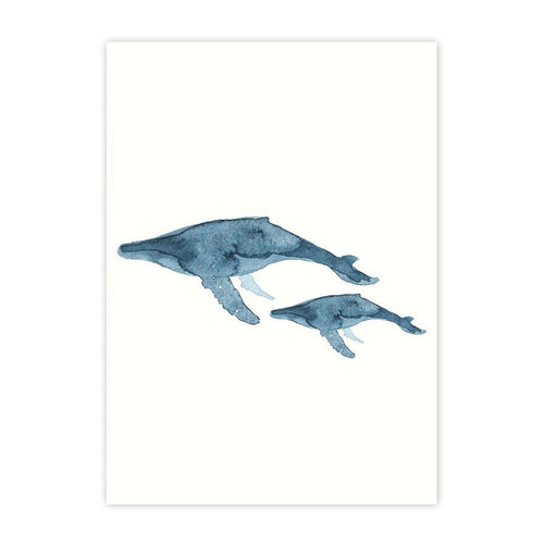 Blue Ocean Adventures | WHALES