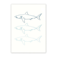Blue Ocean Adventures | SHARKS