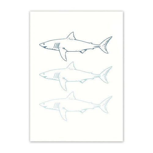 Blue Ocean Adventures | SHARKS