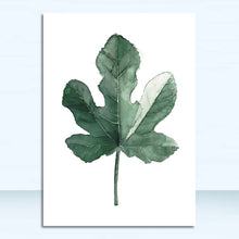 Tropical Plants| Leaves #10
