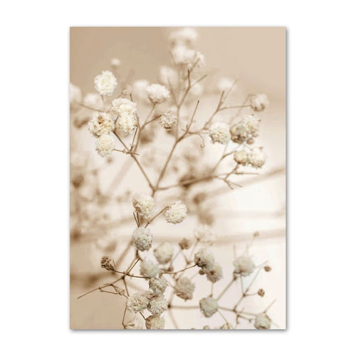 Nature in Calm | BLOSSOM