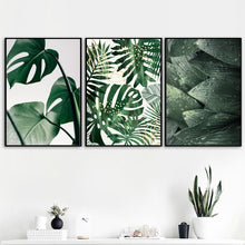 Fresh Green Big Leaves