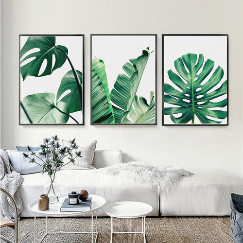 Green Tropical Plants Leaf