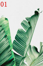 Green Tropical Plants Leaf
