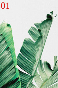 Green Tropical Plants Leaf
